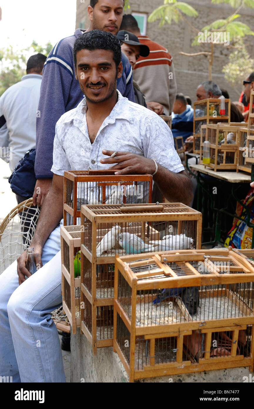 The bird market , under the Al-Tonssy flyover (the Autostrade), near the citadel, cairo ,egypt Stock Photo