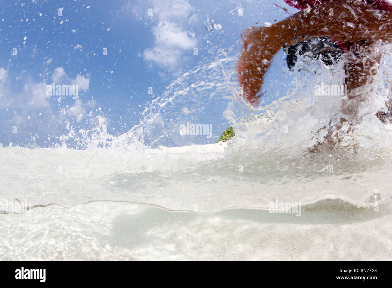 Playing in shallow water, on a remote atoll in the Maldives chain, Indian Ocean Stock Photo