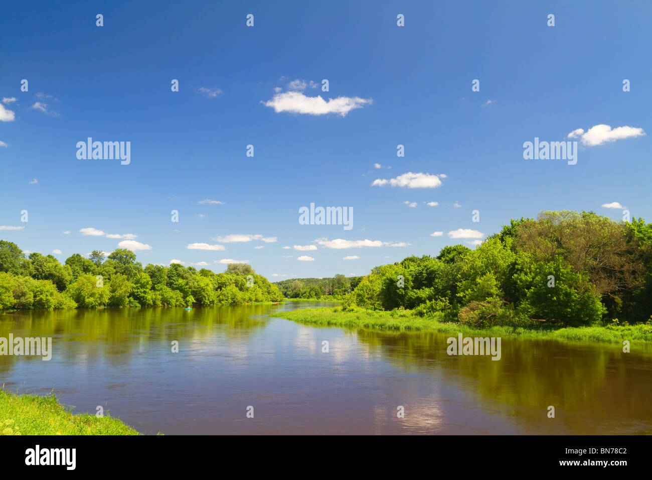 summer river Stock Photo