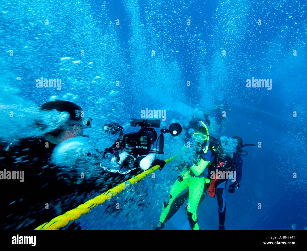 Divers hang on line during safety stop after deep dive Stock Photo Alamy