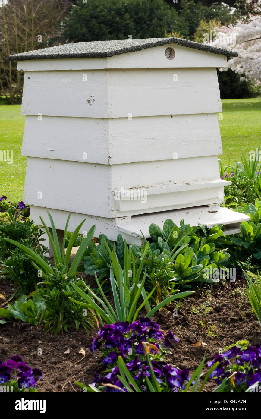 wood bees hives beehive garden Stock Photo Alamy