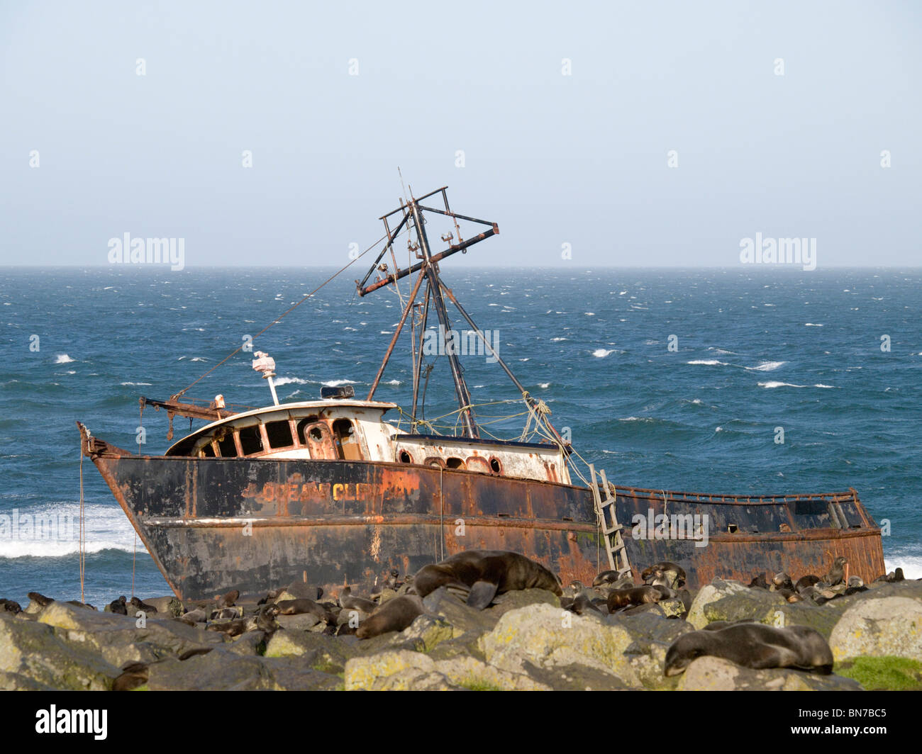 View of a shipwrecked Fishing boat near a Northern Fur Seal  breeding colony, St. Paul Island, Alaska, Summer Stock Photo