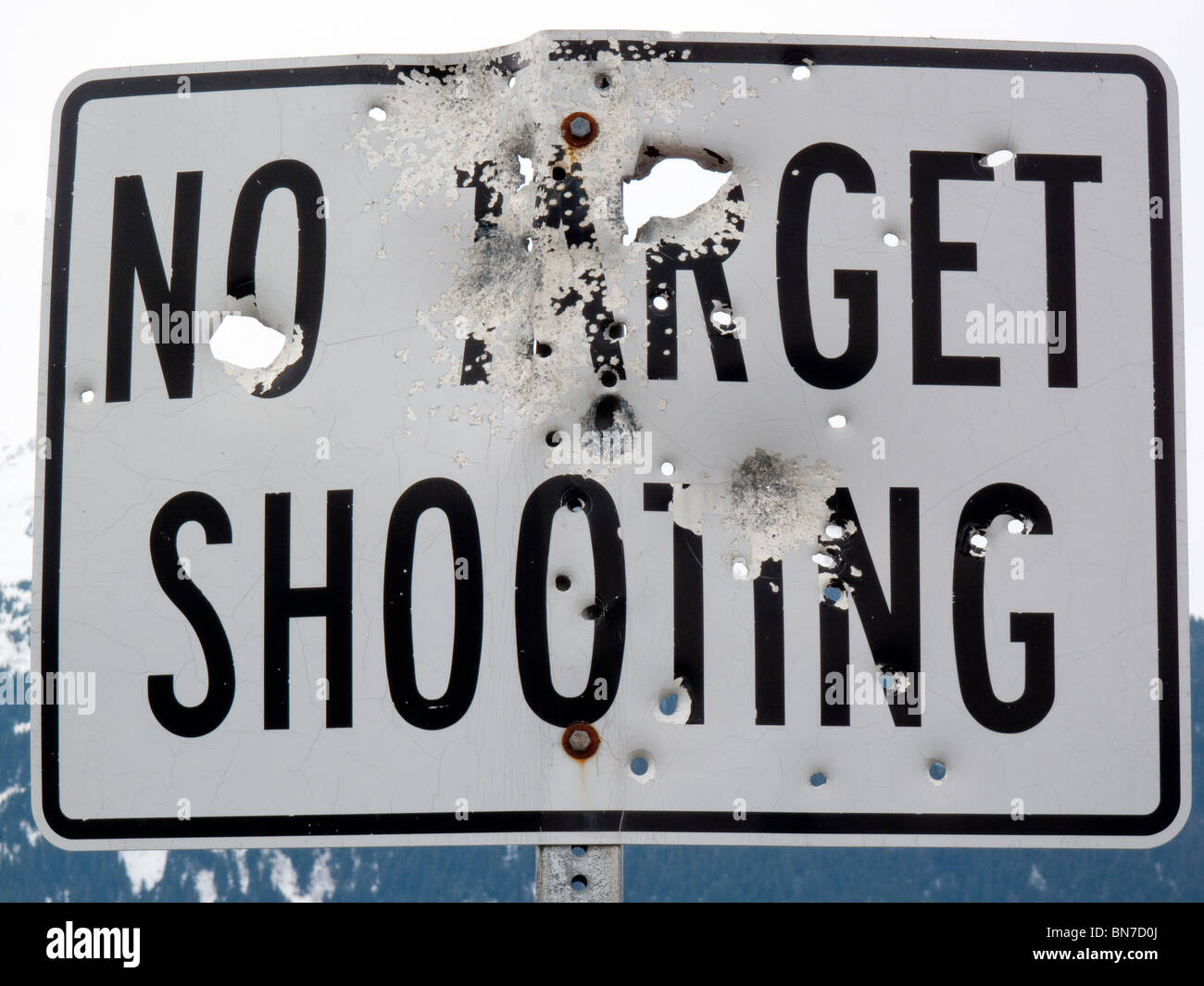 No Target Shooting sign shot up with bullet holes, Alaska Stock Photo