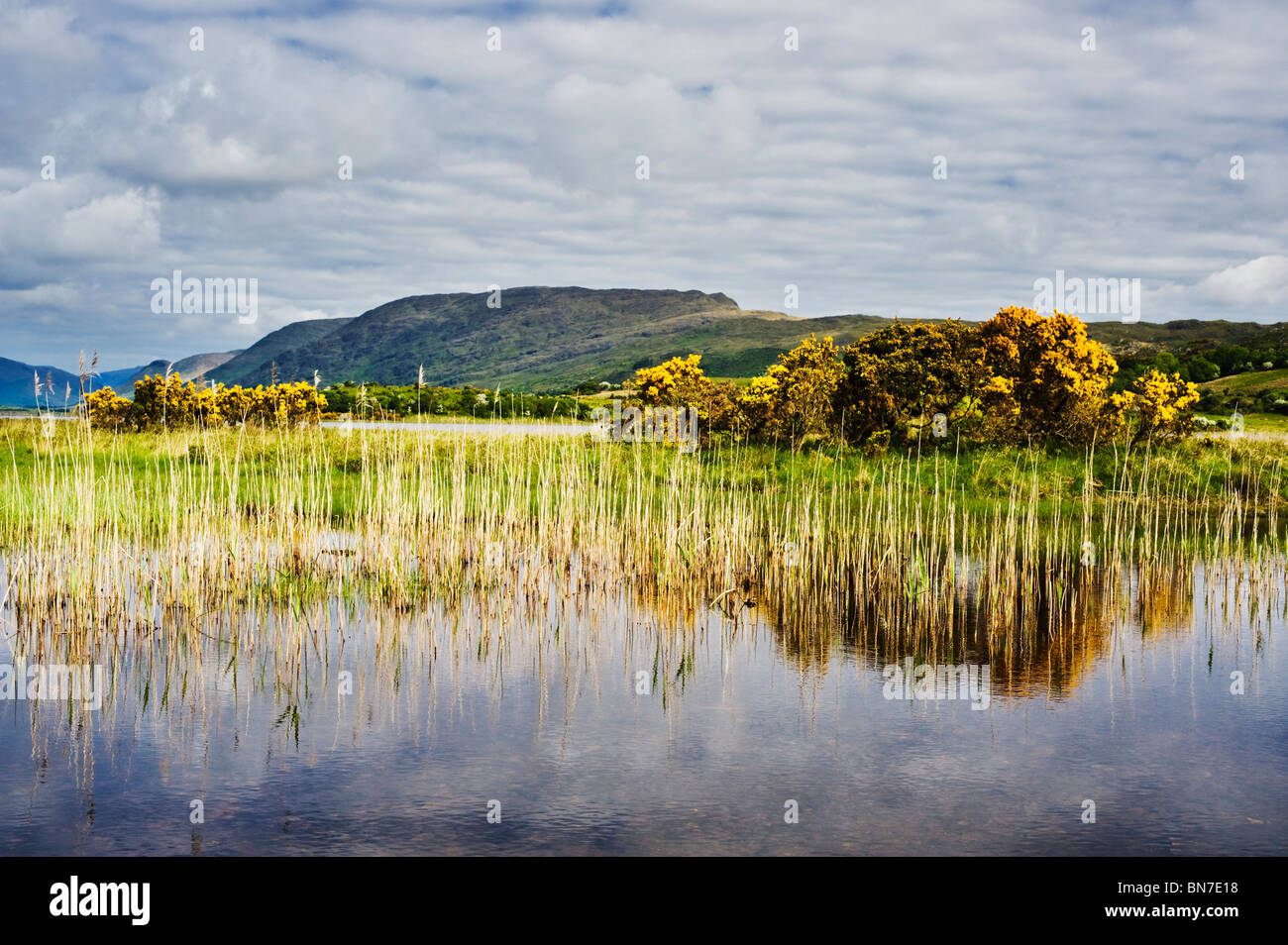 The northwestern shore of Lough Corrib, Co Galway, Ireland Stock Photo