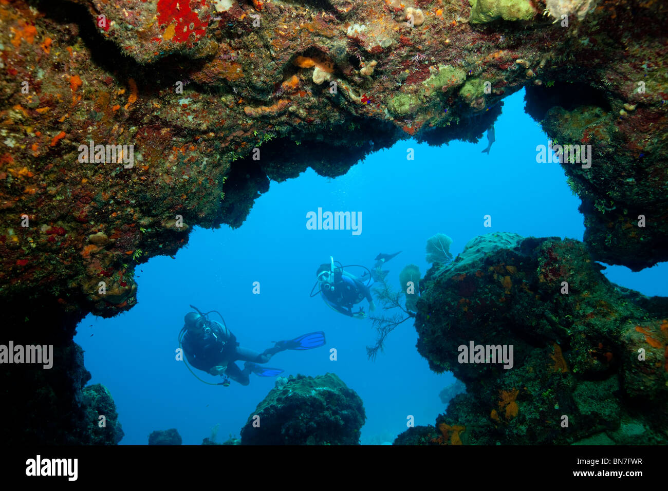 Scuba divers  peer through cavern in the Caribbean Sea Stock Photo