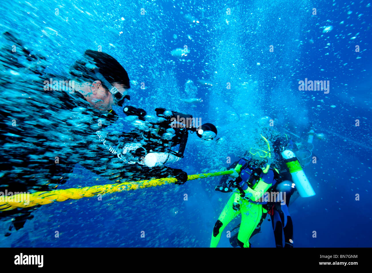 Divers hang on line during safety stop after deep dive Stock Photo