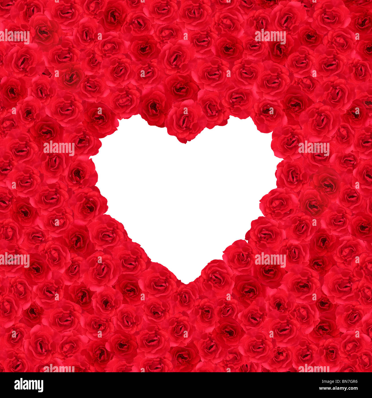 Many red roses forming a heart shape in a square format Stock Photo