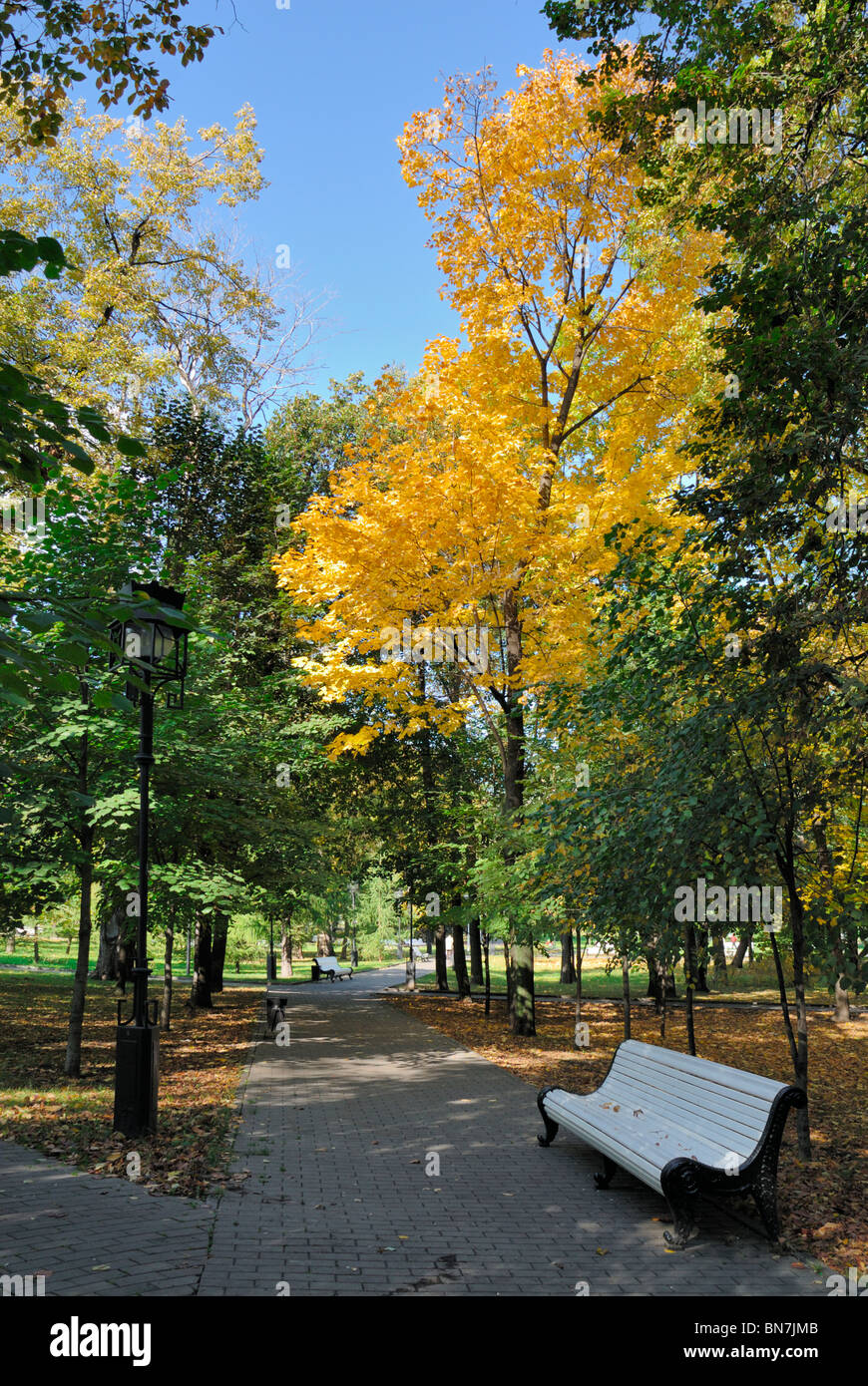 Pathway bench park hi-res stock photography and images - Alamy