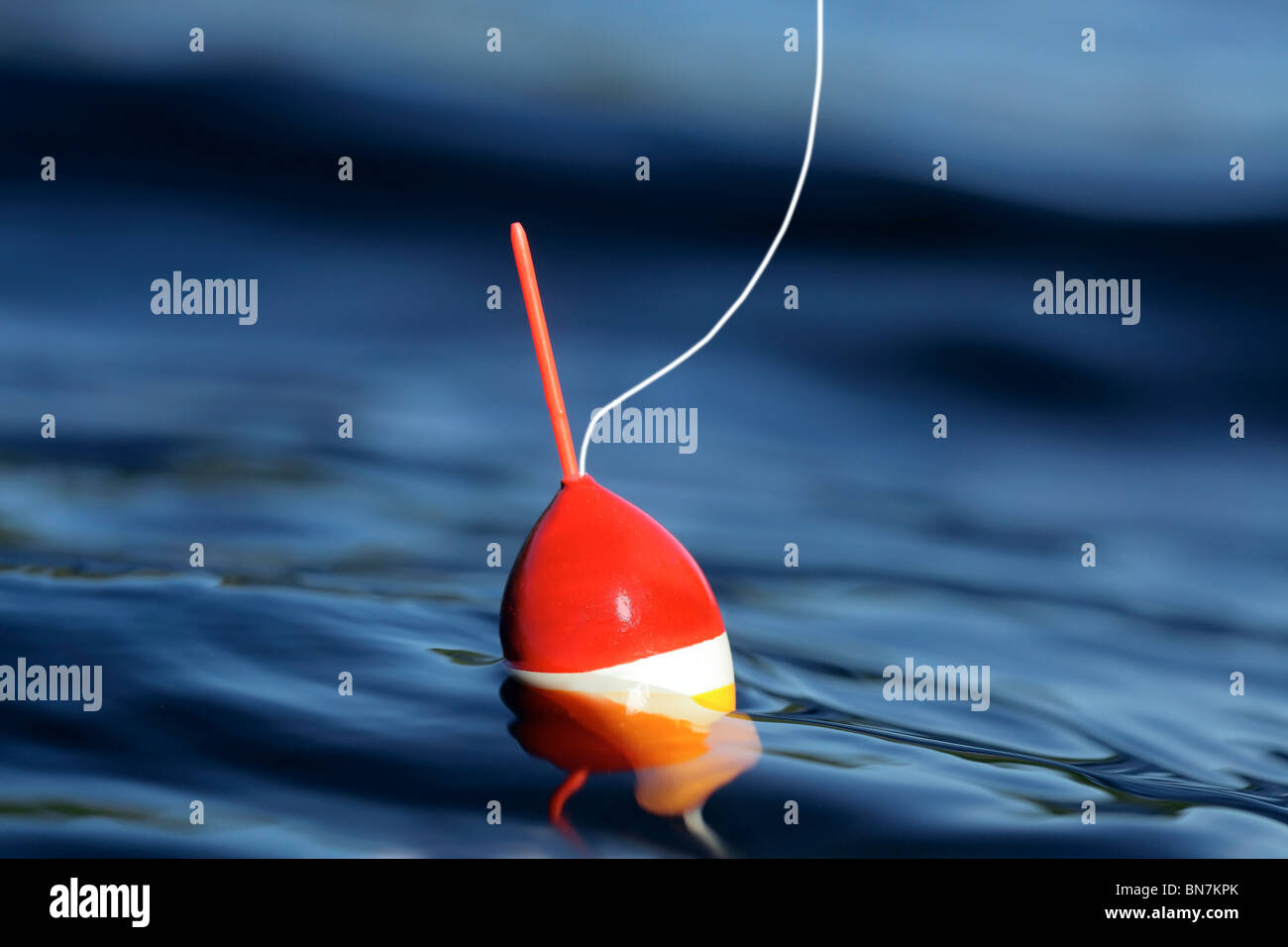 Cork floating water hires stock photography and images Alamy