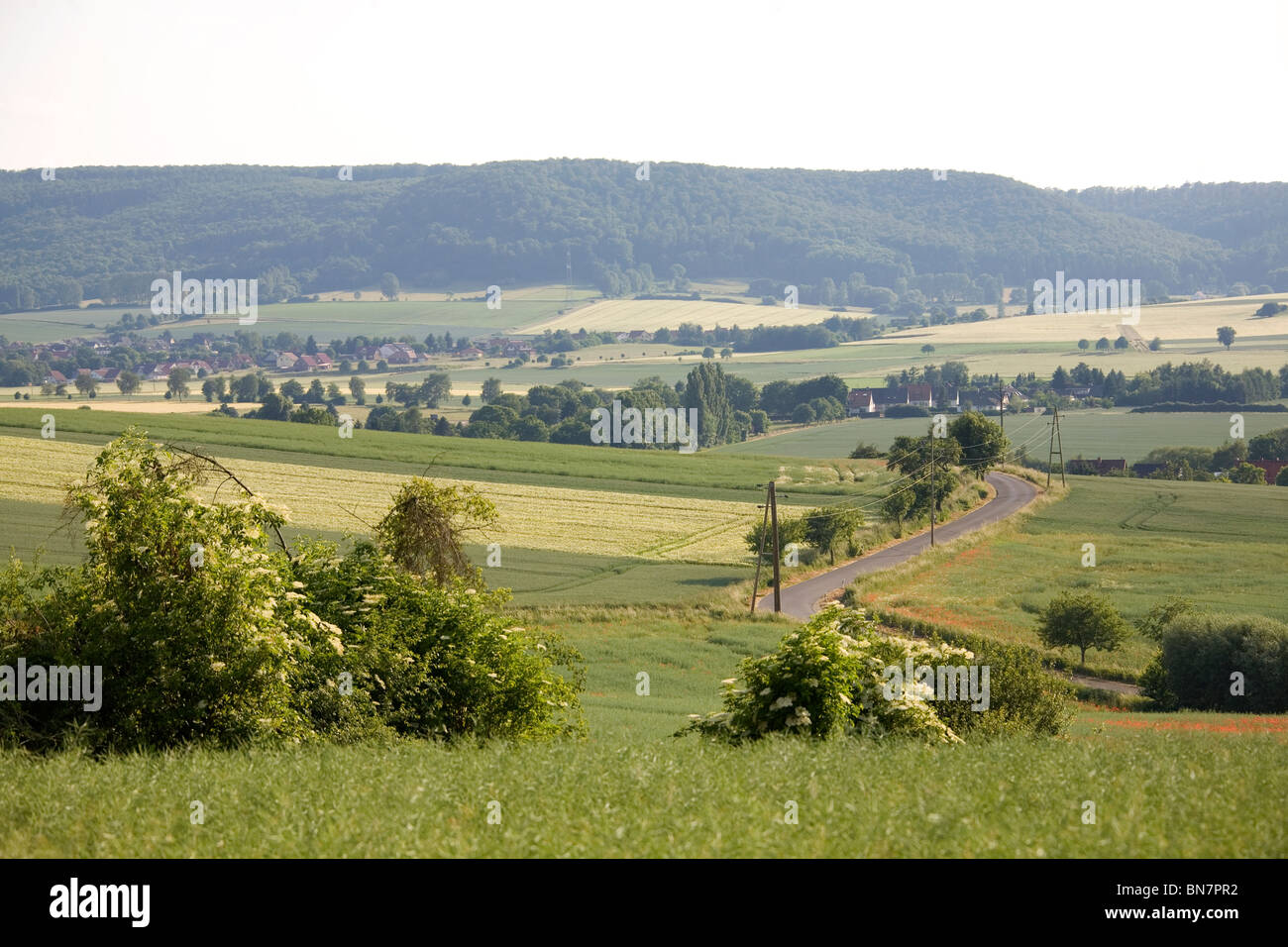 Sommer im Deister - Felder Summer in Germany Stock Photo