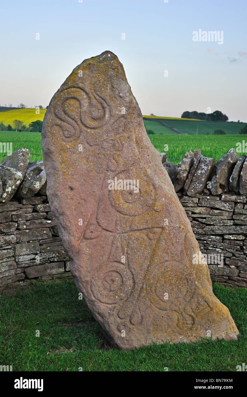 The Serpent Stone, a carved Pictish stone at Aberlemno, Scotland, UK Stock Photo