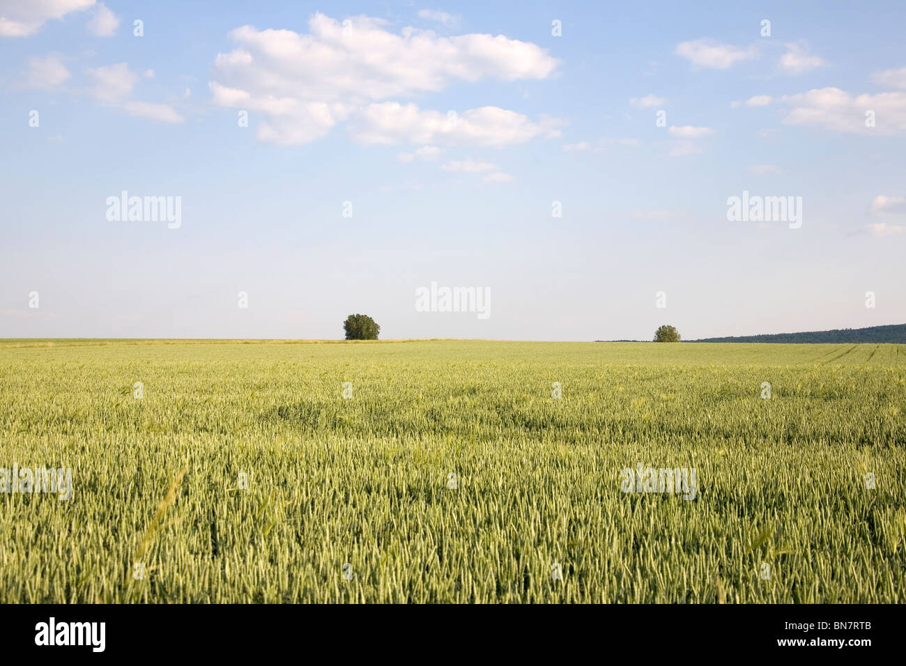 Sommer im Deister - Felder Summer in Germany Stock Photo