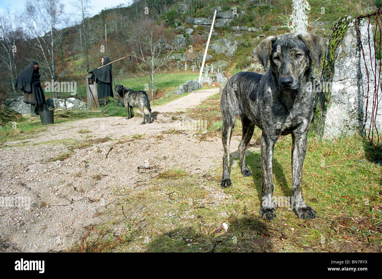 Castro Laboreiro, Gerês, Portugal Stock Photo