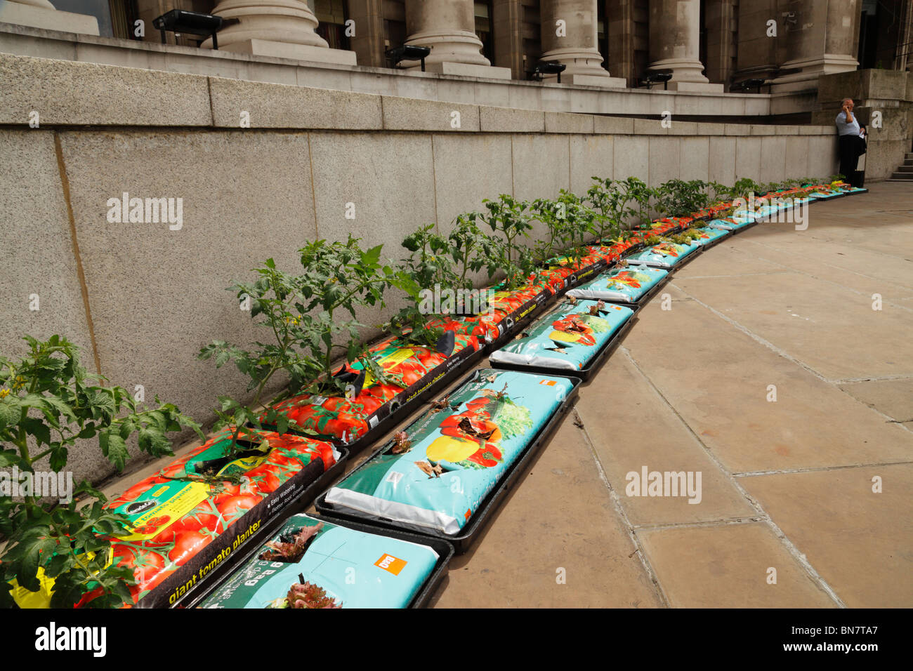 Row of growbags outside County Hall, Southbank, London, England, UK. Stock Photo