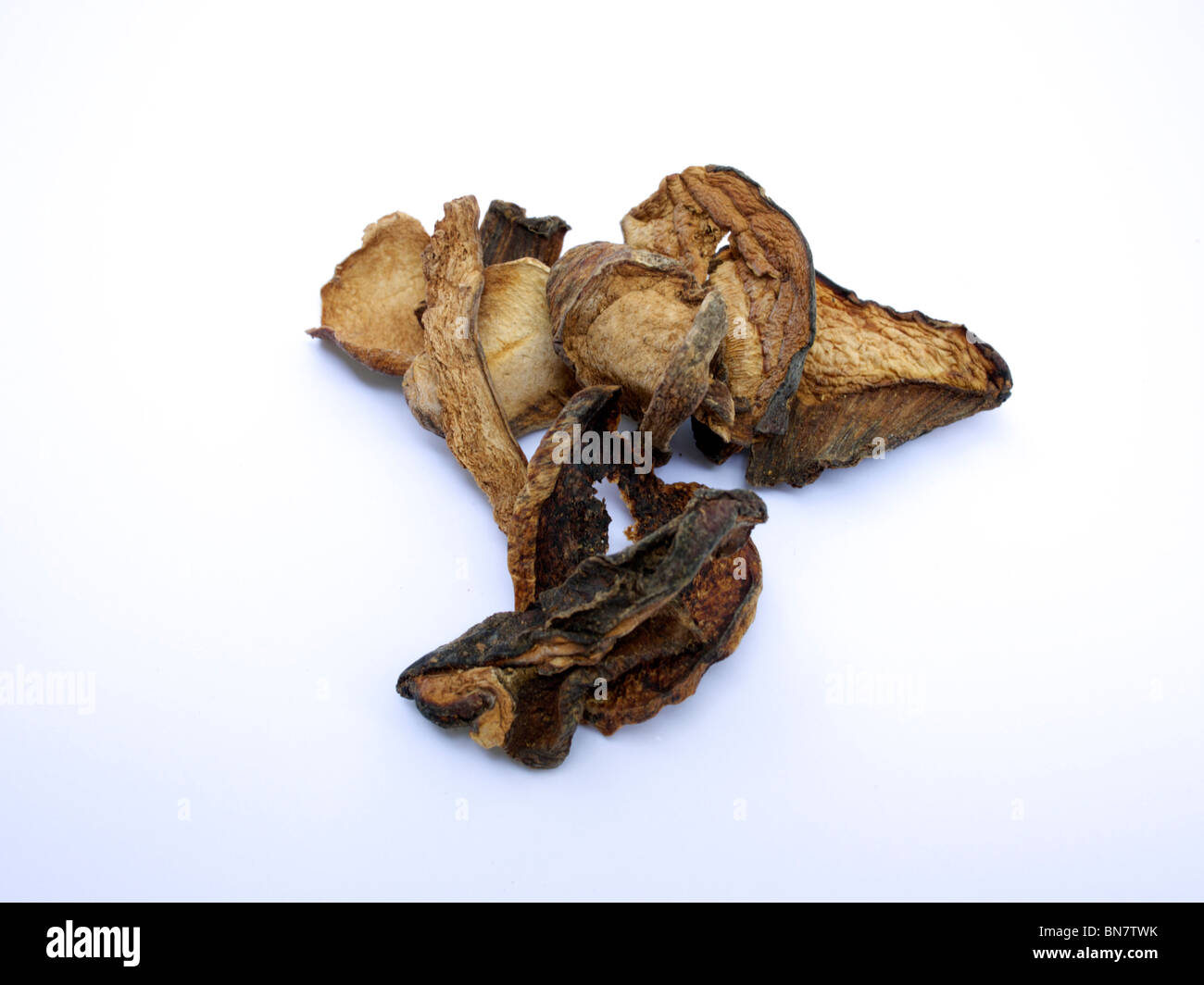 Dried Oyster Mushroom on white background Stock Photo Alamy