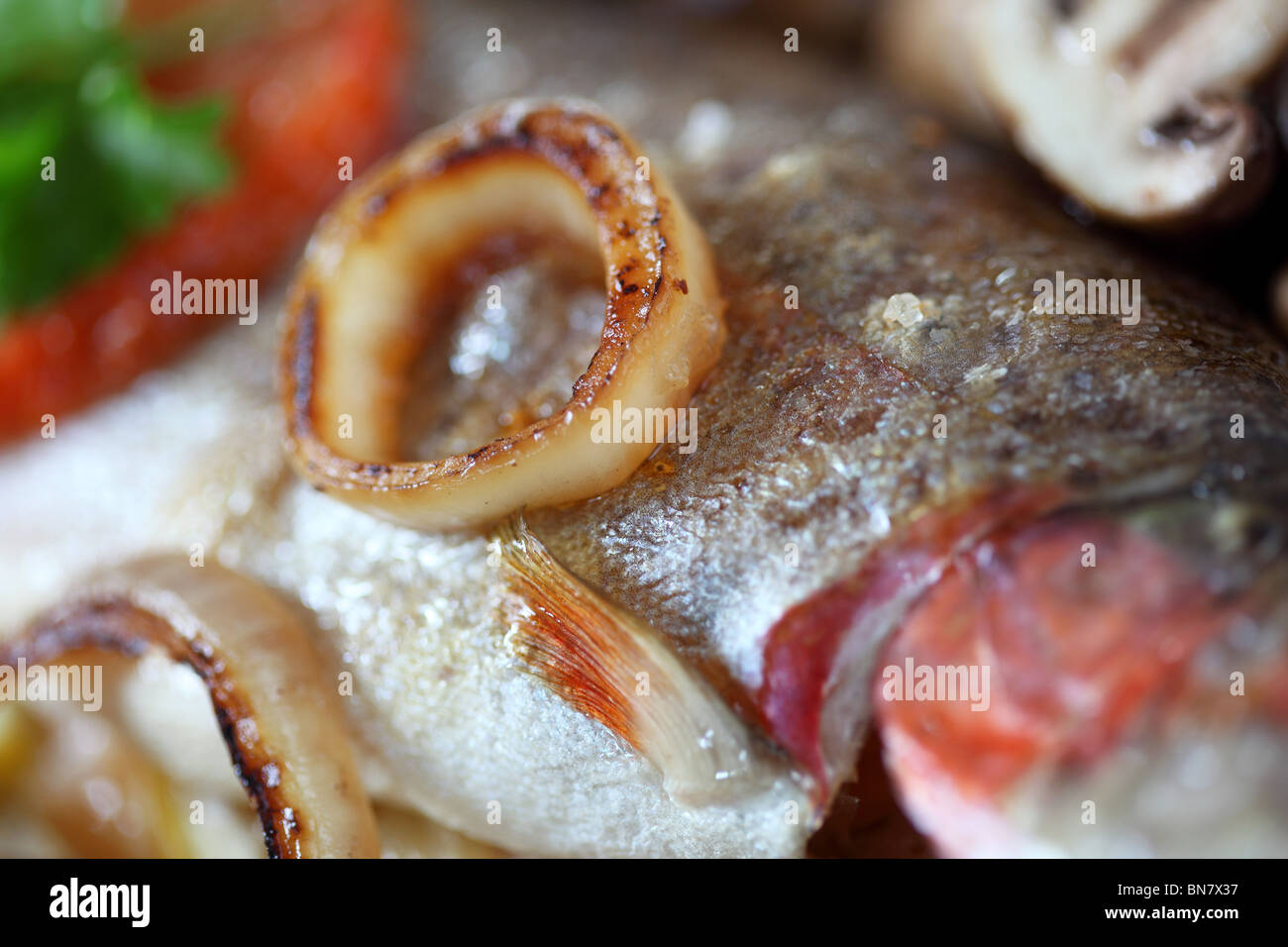 Trout fish food Stock Photo Alamy