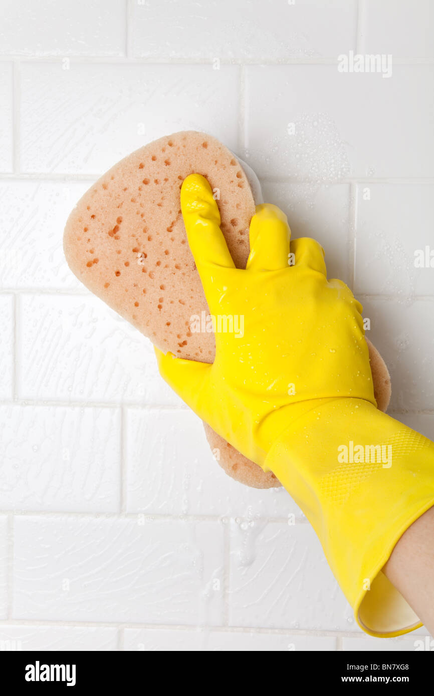 Cleaning Bathroom Tile Wall close up Stock Photo Alamy