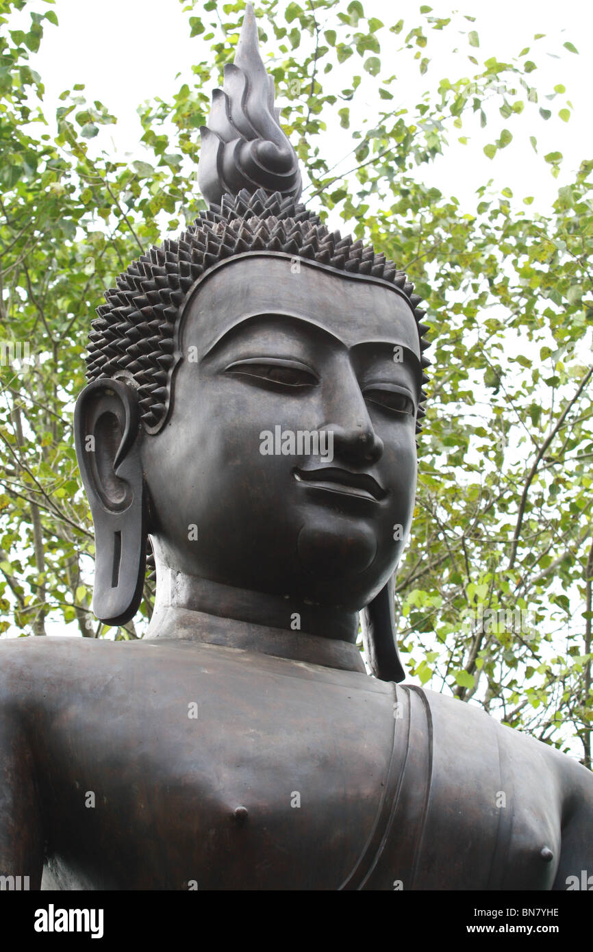 black single monk