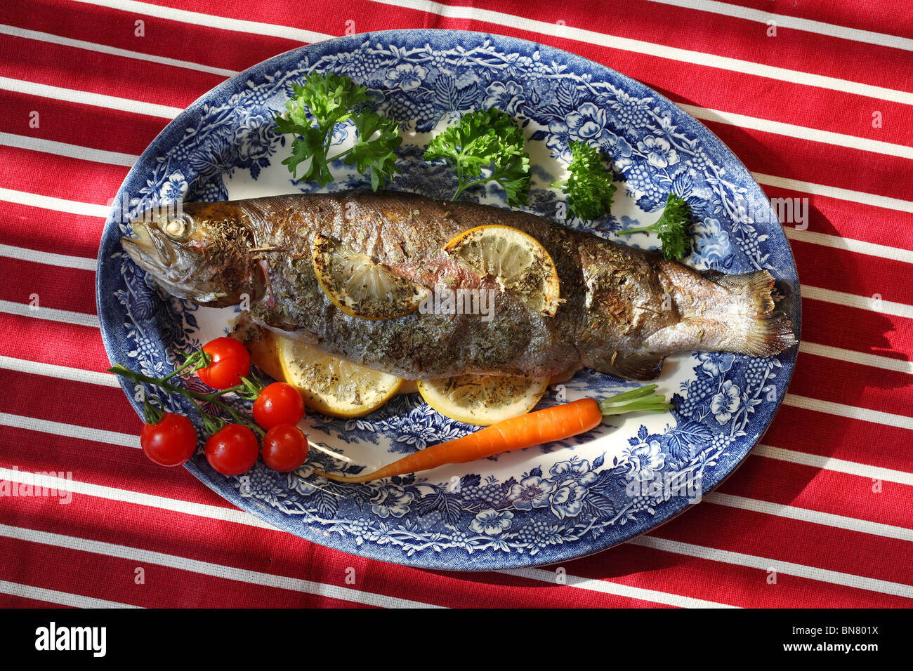 Trout fish food Stock Photo Alamy