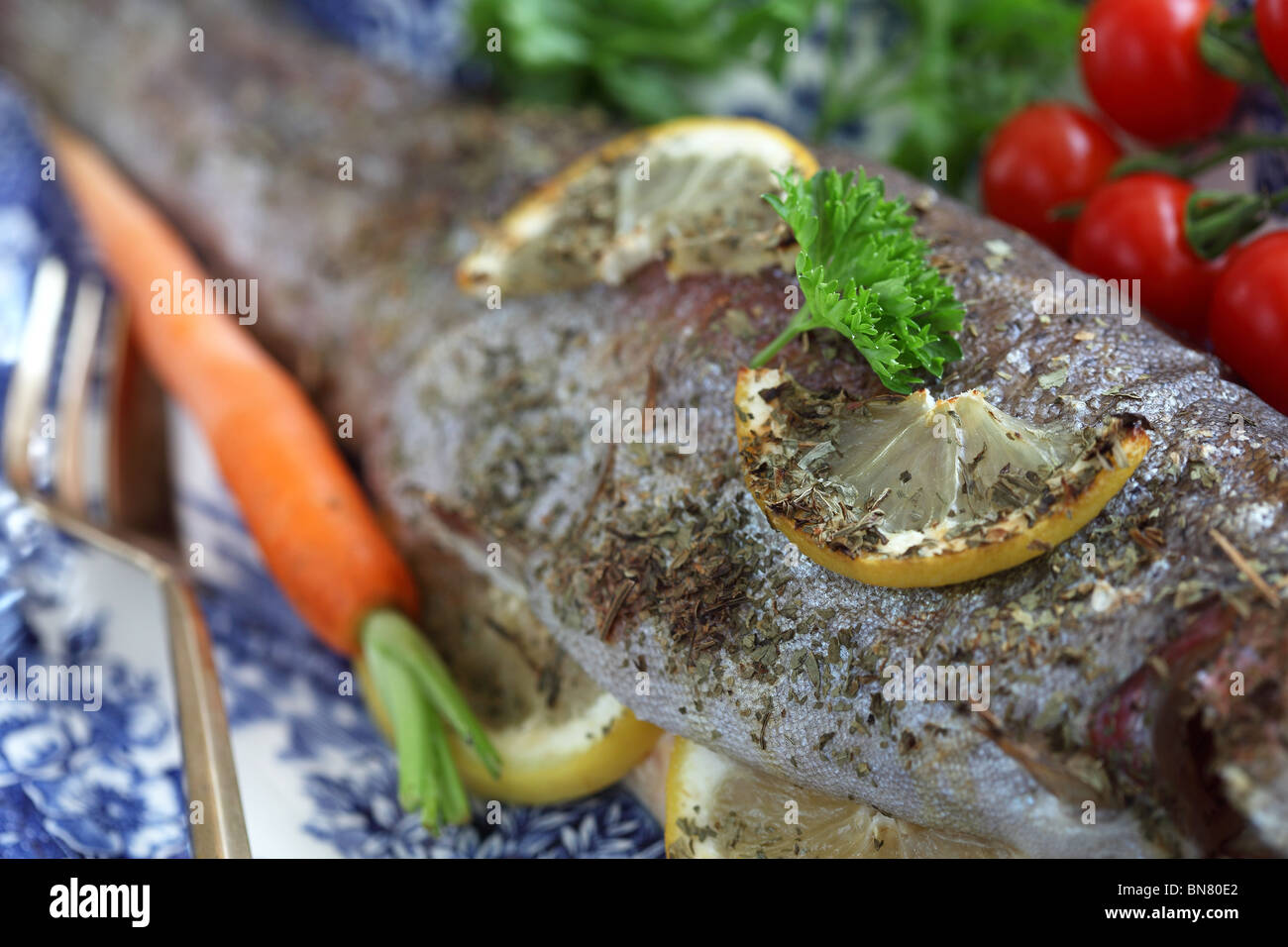 Trout fry hires stock photography and images Alamy