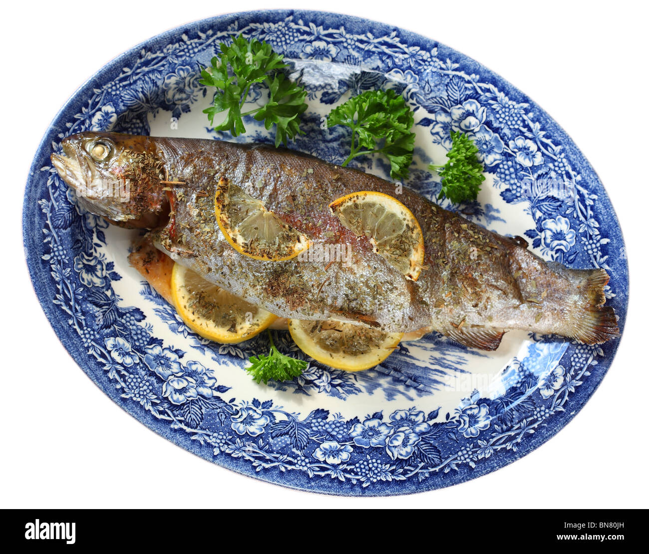 Trout fish food Stock Photo Alamy
