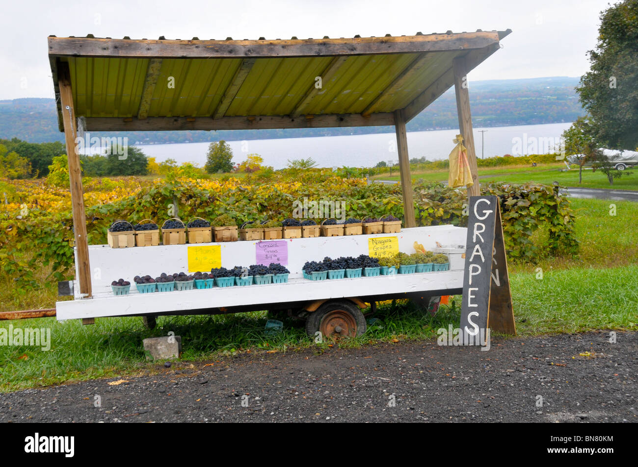 Grapes for sale at Roadside Stand in Finger Lakes Region New York Stock