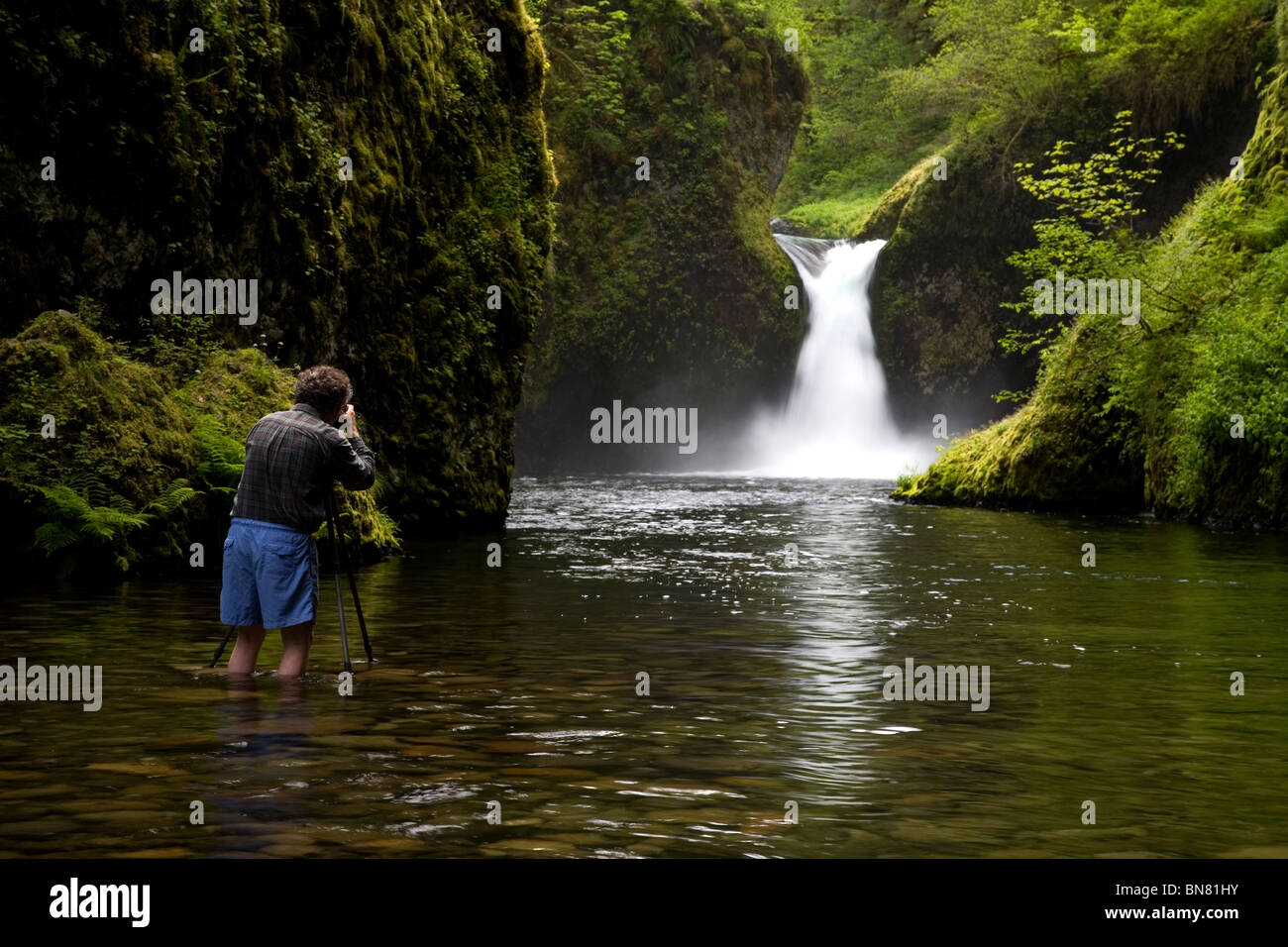 Man Photographing Punchbowl Falls in May, Eagle Creek, Mt. Hood National Forest, Oregon Stock Photo