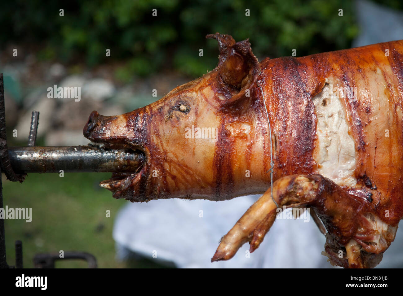 close up of hog roast cooking on spit. Stock Photo