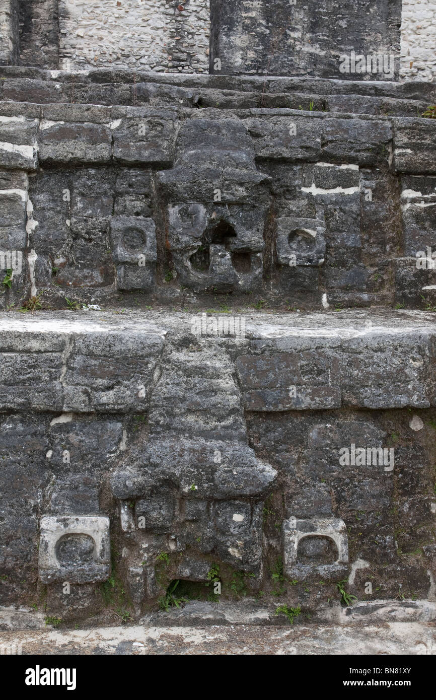 Stone Carvings at the Mayan ruins of Altun Ha in the Belize rain forest