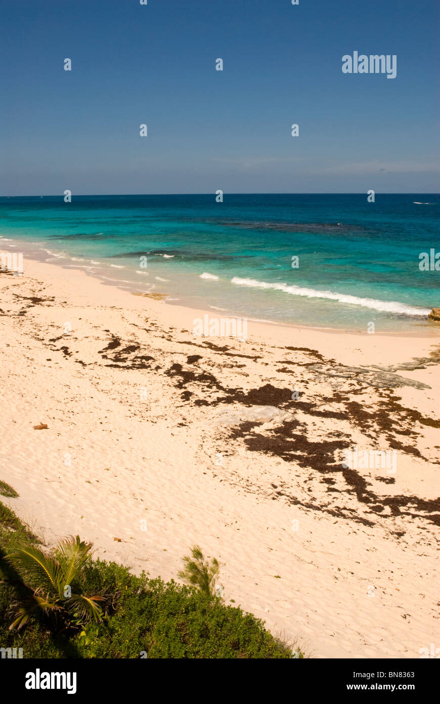 Beach at Nippers, Guana Cay, Abaco, Bahamas Stock Photo Alamy