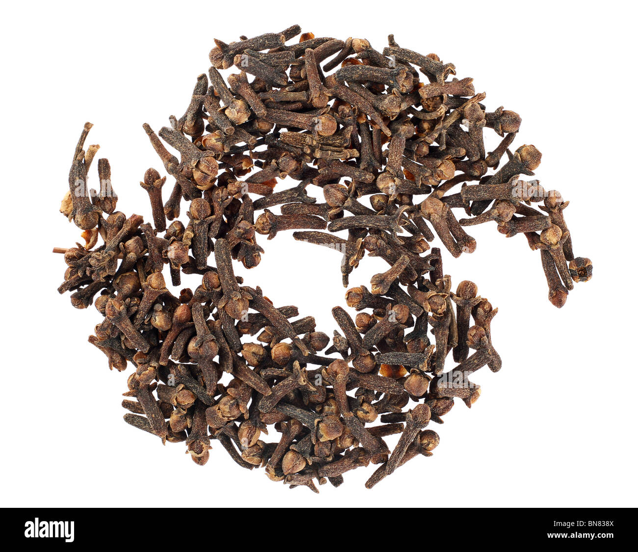 Clove spice closeup on white background Stock Photo Alamy