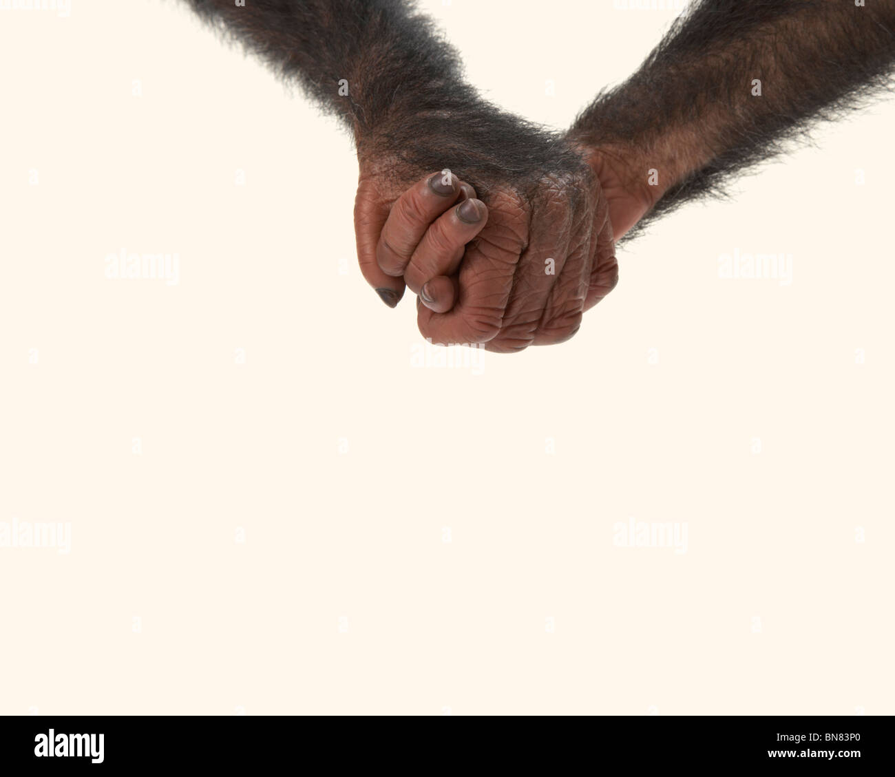 Onwards and upwards Stock Photo