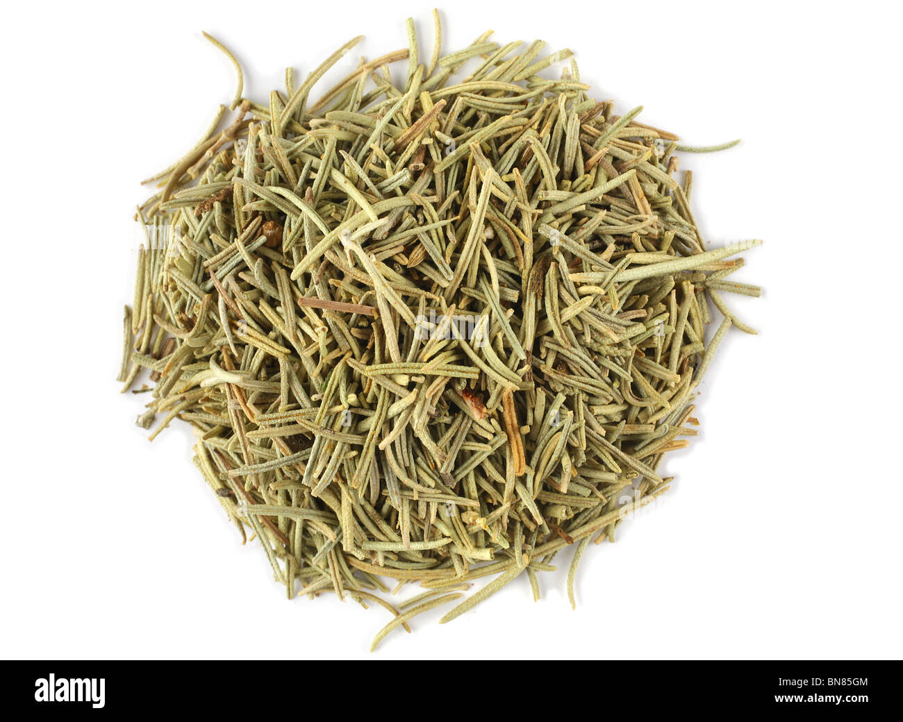 Rosemary spice herb closeup on white Stock Photo Alamy