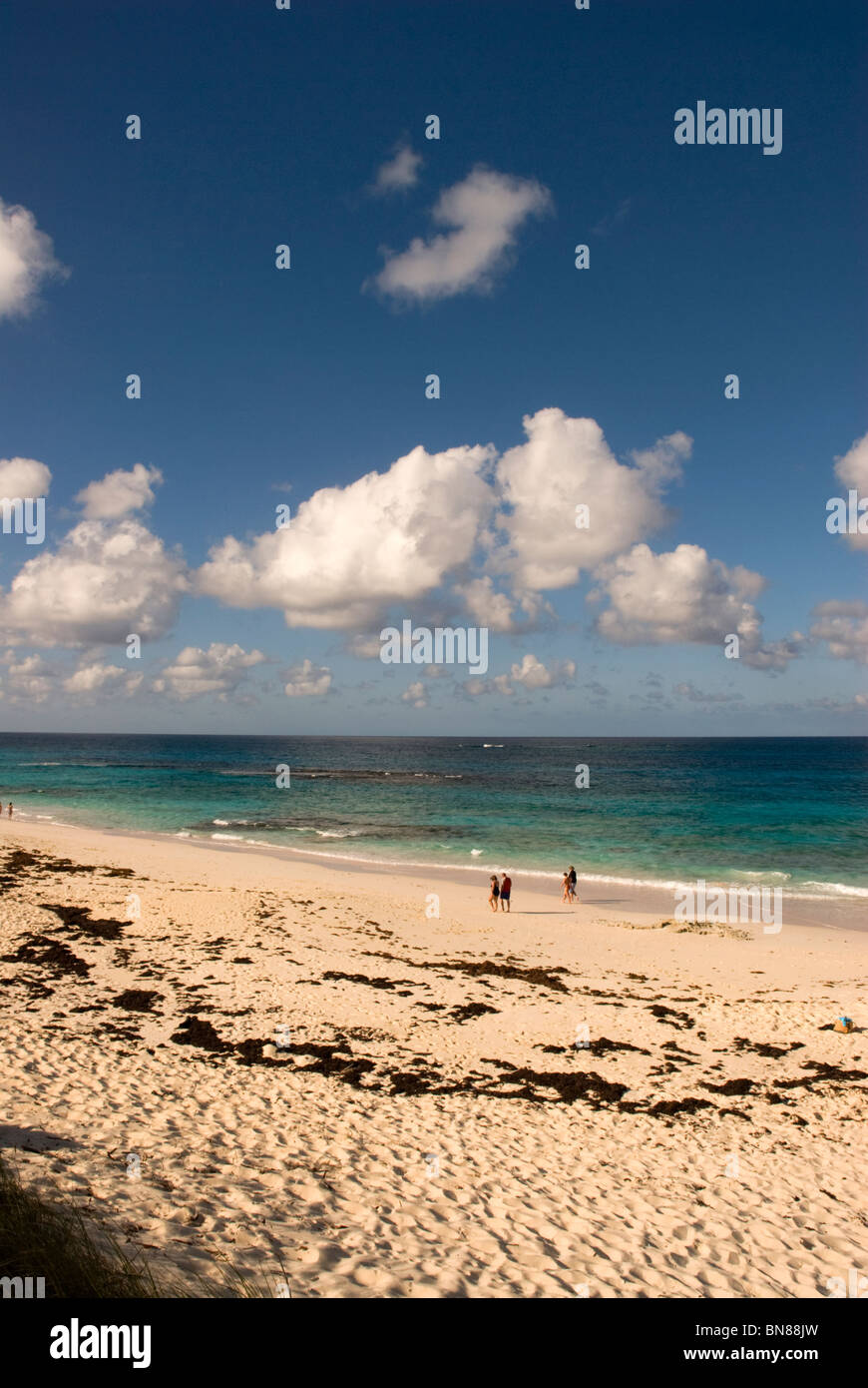 Beach at Nippers, Guana Cay, Abaco, Bahamas Stock Photo Alamy