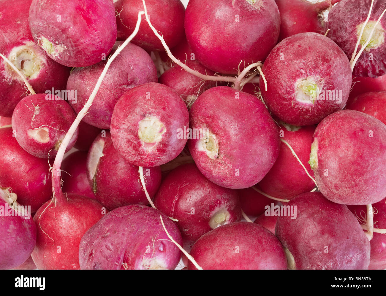 Fresh red radish root vegetable closeup background Stock Photo