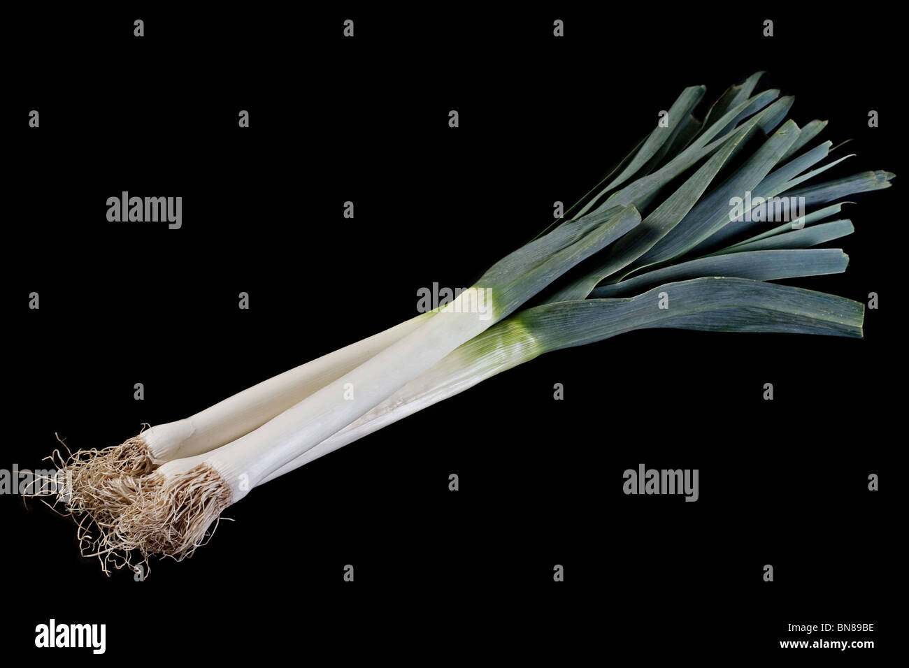 Green onion root stem on dark background Stock Photo Alamy