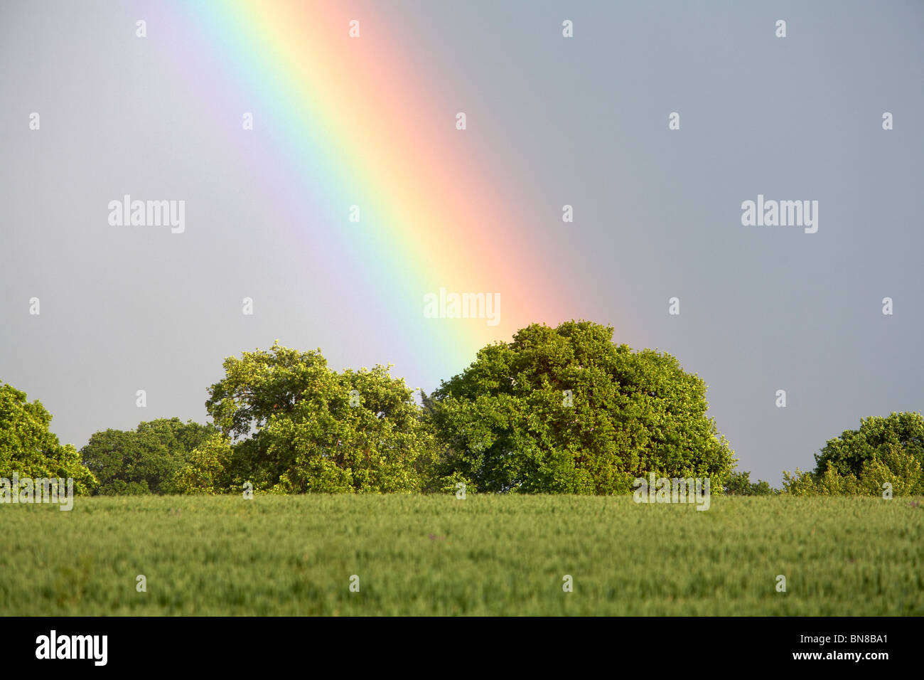 Rainbow over Farmland Stock Photo