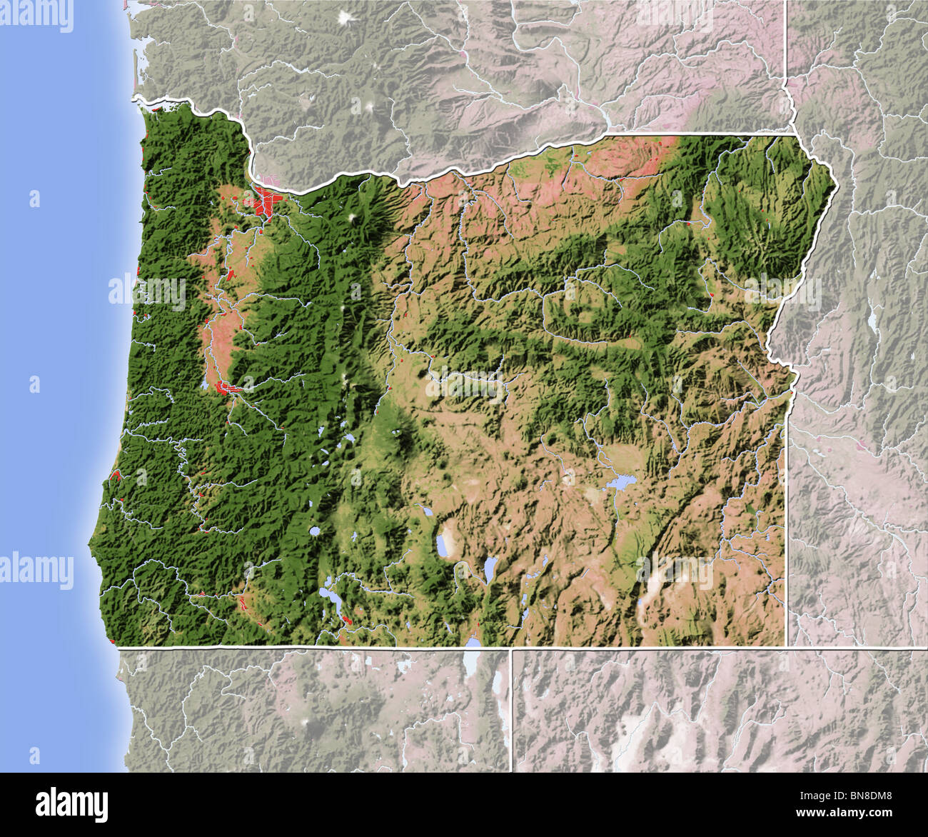 Oregon, shaded relief map. Stock Photo