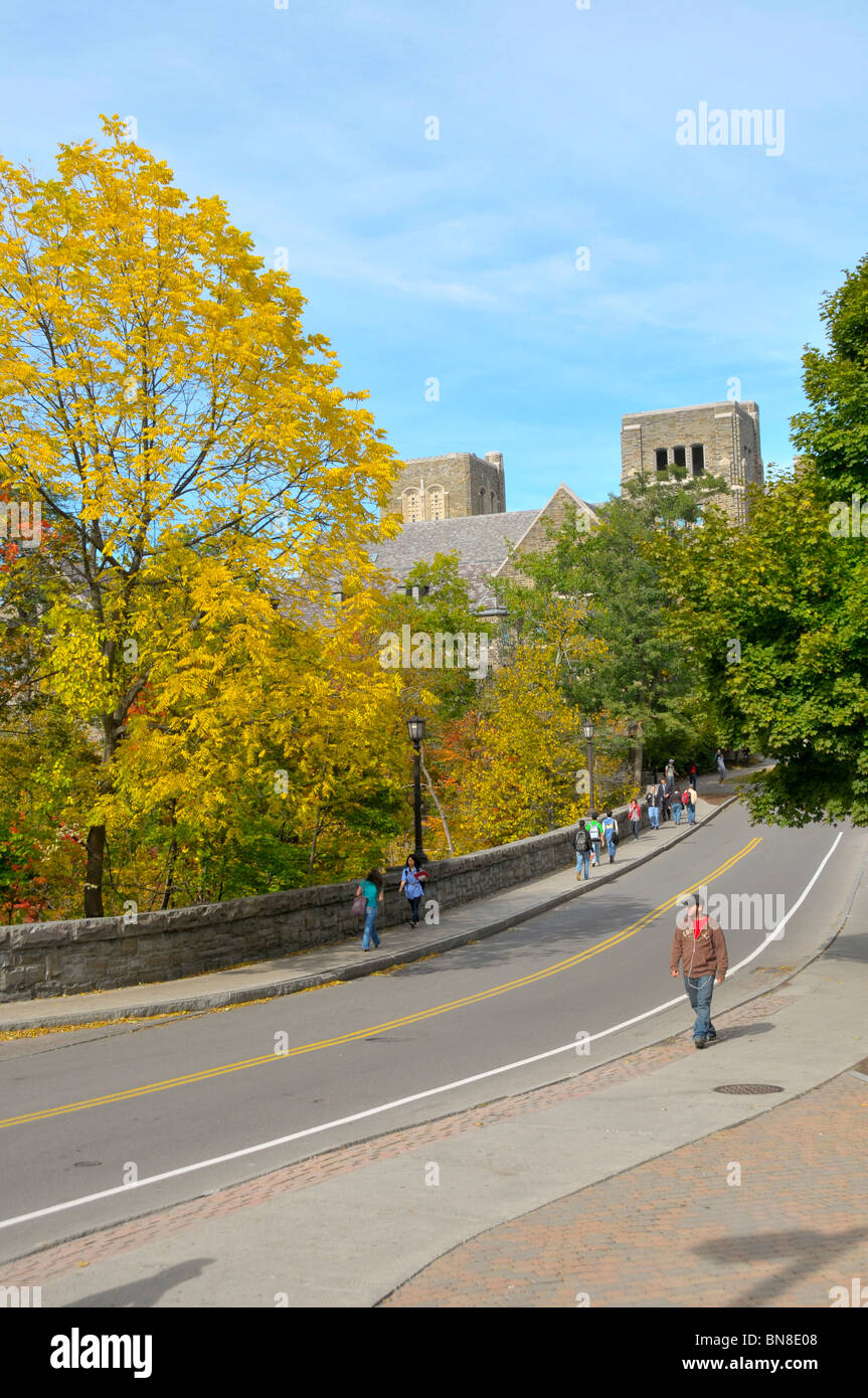 Stone Arch Bridge Area Cornell University Campus Ithaca New York Finger