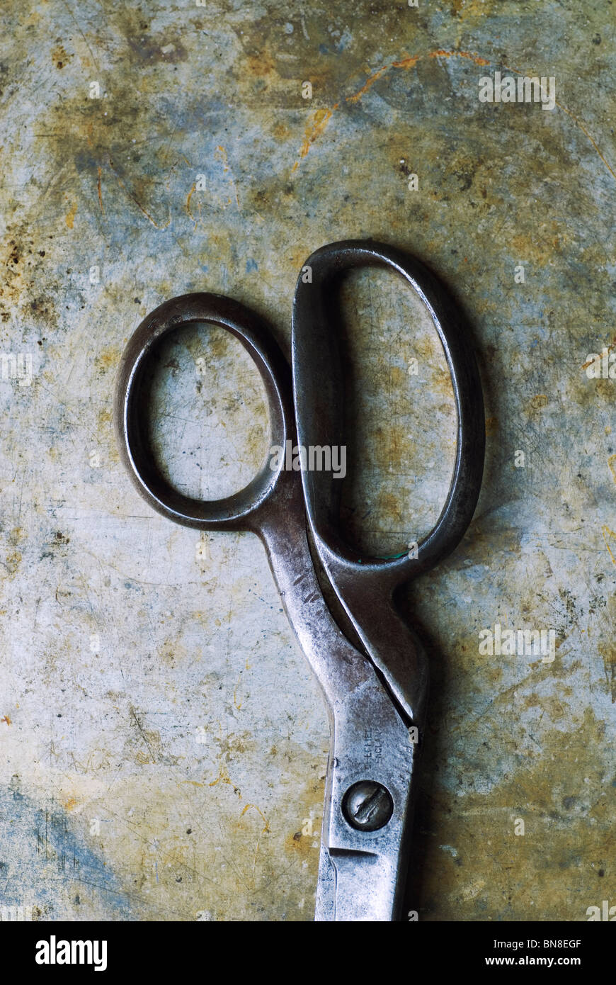Old tailor's scissors Stock Photo