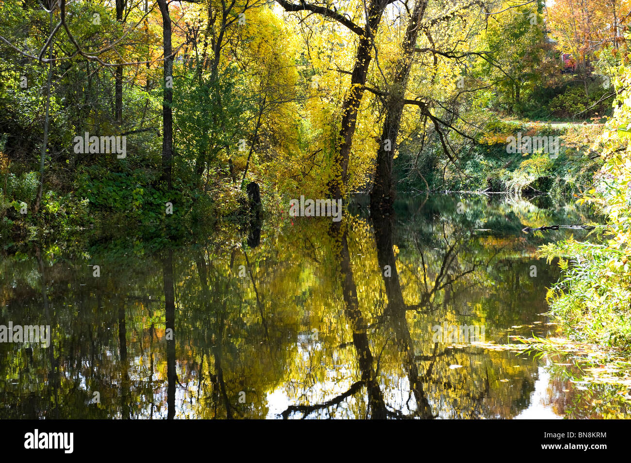 Reflection Pond at New Hope Mills New York Finger Lakes Region Stock Photo