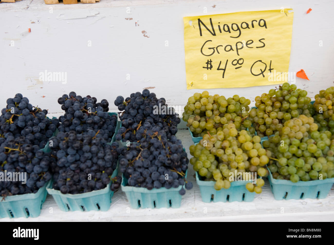 Grapes for sale at Roadside Stand in Finger Lakes Region New York Stock