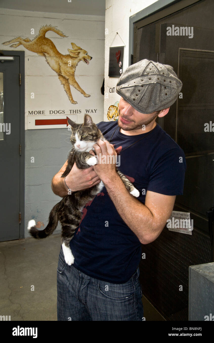 A young man plays with his newly-adopted cat at the Laguna Beach, CA. animal shelter. Note dog sign in background. MODEL RELEASE Stock Photo