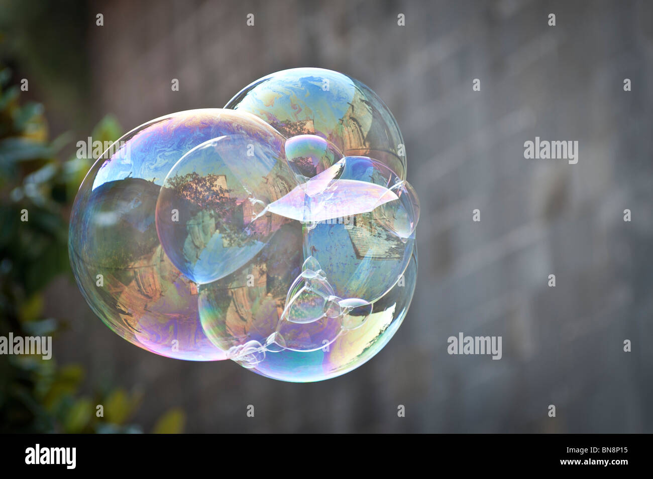 Soap Bubble Stock Photo