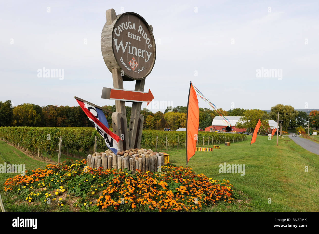 Winery Vineyards Finger Lakes Region New York Cayuga Lake Stock Photo