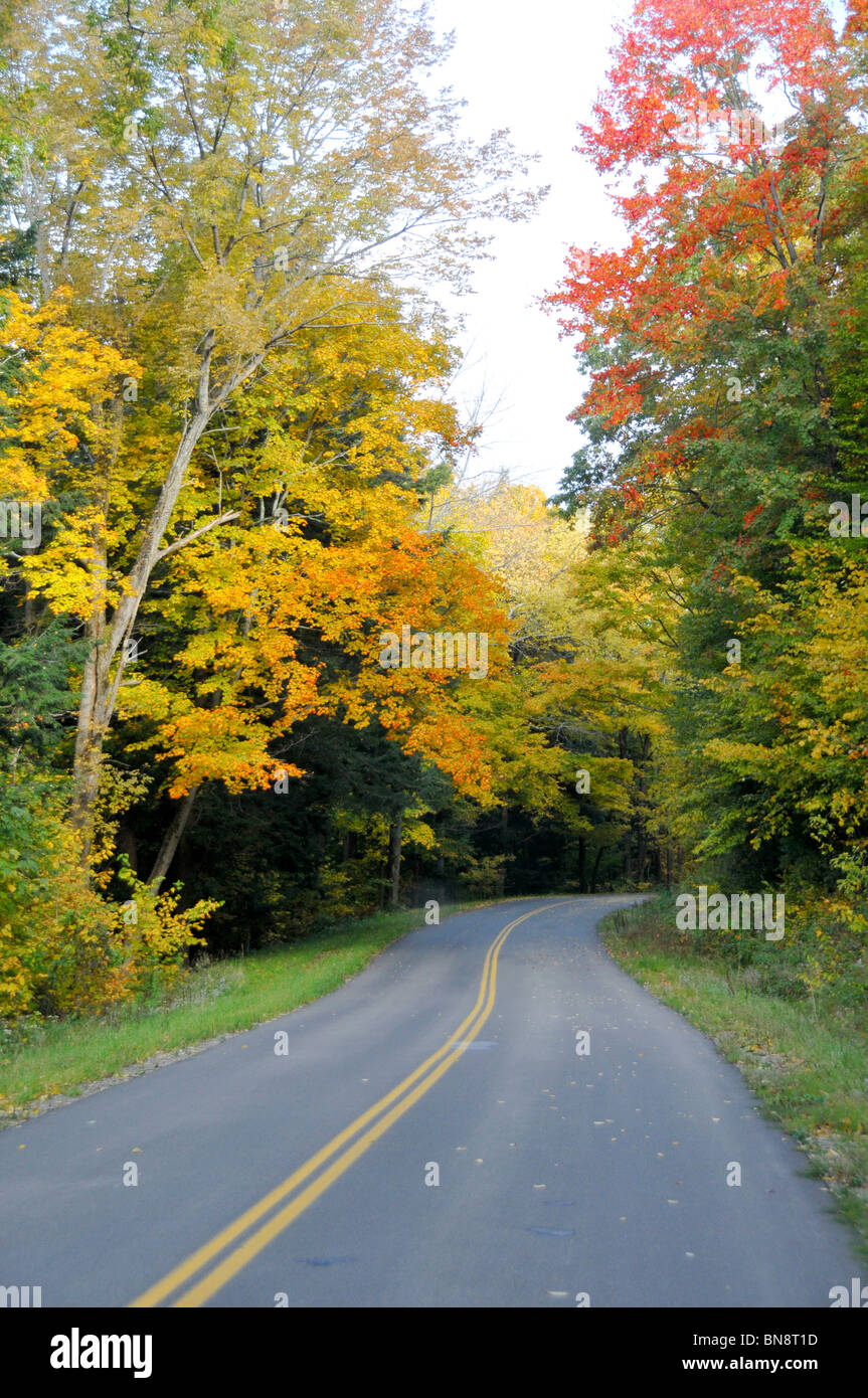 Fall Color Road New Jersey Stock Photo Alamy