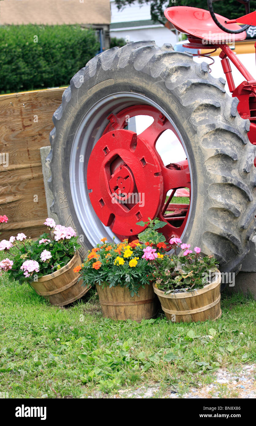 Tractor and flowers Long Island NY Stock Photo Alamy