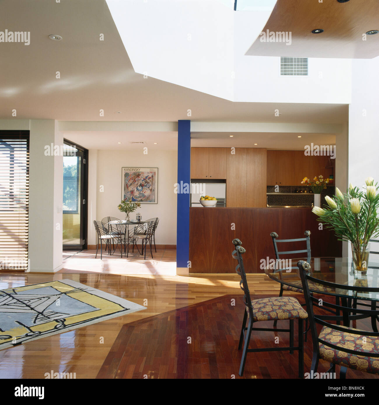 Large modern open-plan kitchen dining room with abstract-patterned rug