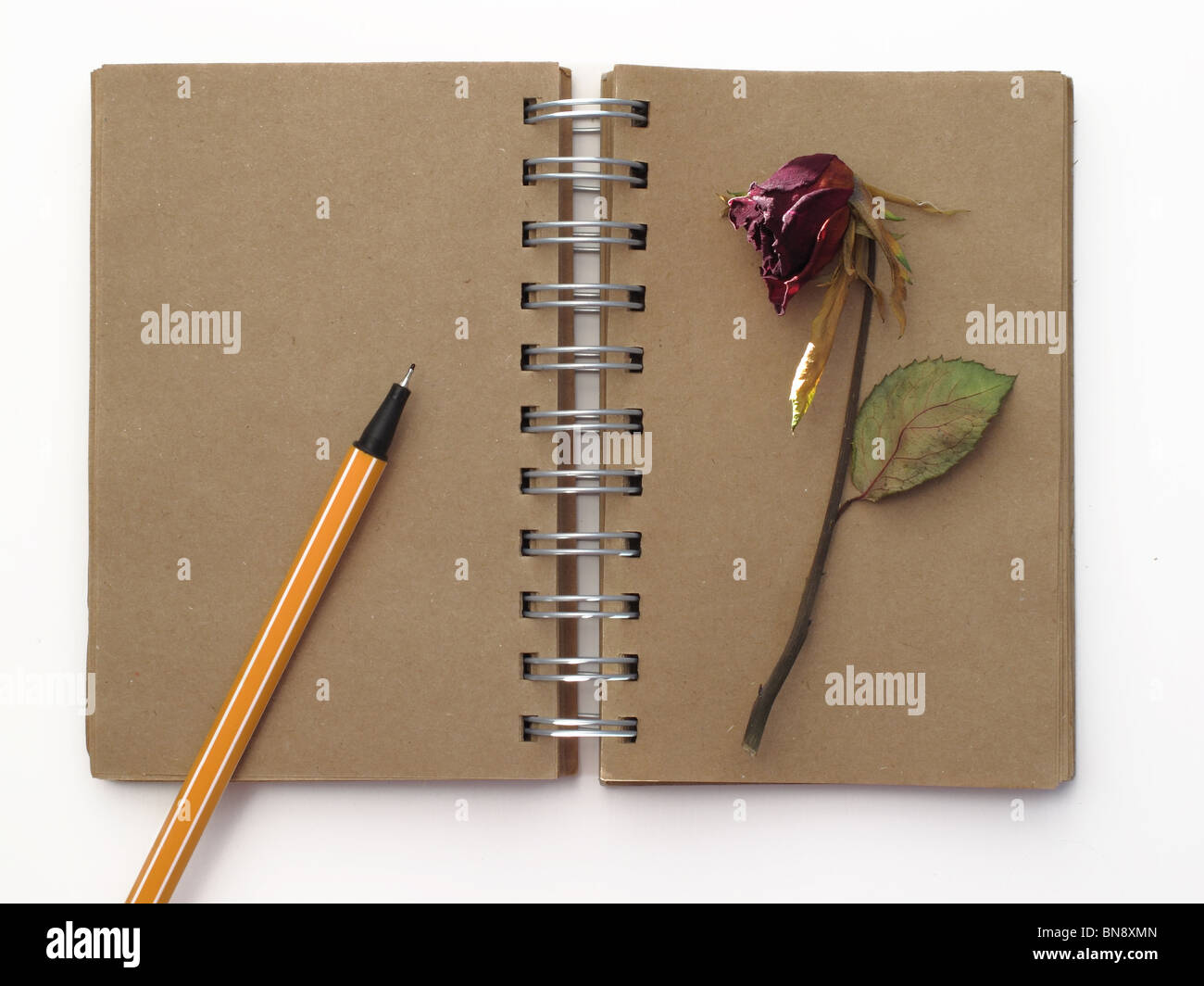 old style notebook and dead red rose Stock Photo - Alamy
