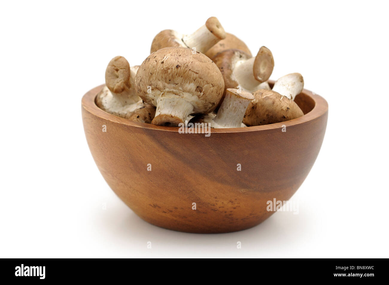 Mushrooms in Bowl Stock Photo